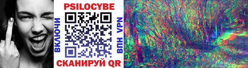 Псилоцибиновые грибы мухоморы  что такое наркотик  KRAKEN ССЫЛКА  Пушкино 