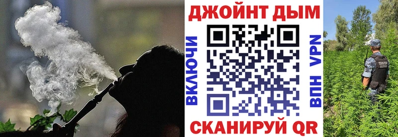 где можно купить наркотик  Пушкино  Канабис сатива 
